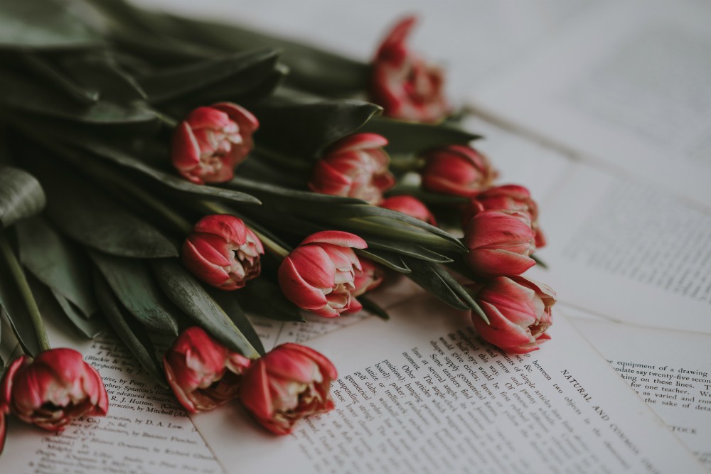 Image Of Books And Flowers